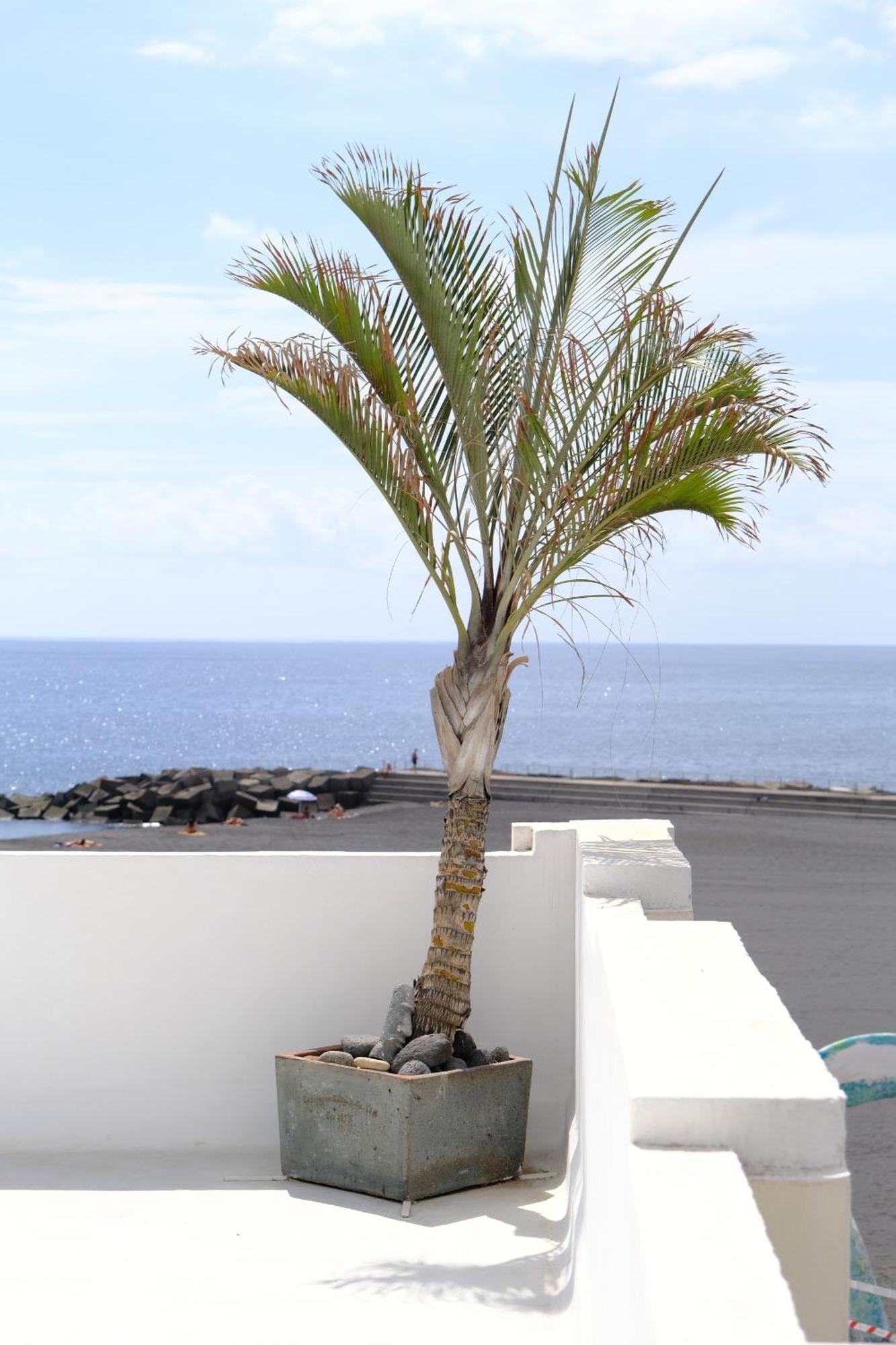 Rooftop Dreamhouse - 3Br With Seaviews Villa Santa Cruz de la Palma  Exterior foto